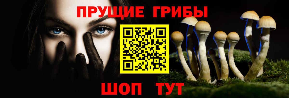 Галлюциногенные грибы Psilocybine cubensis  Вход с VPN  Фролово 